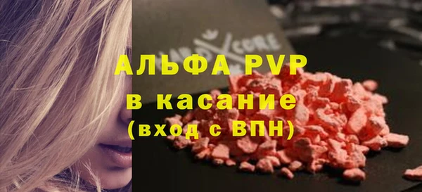 прущие грибы Зеленокумск