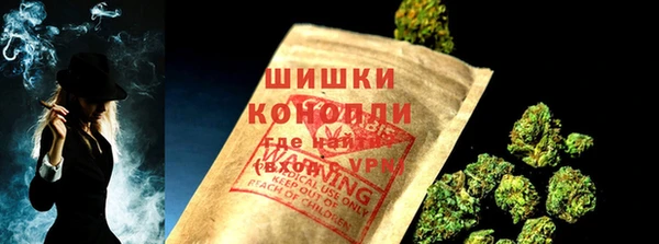 прущие грибы Зеленокумск