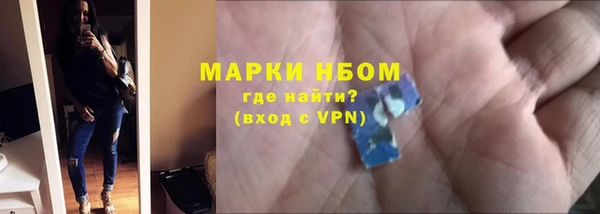 прущие грибы Зеленокумск