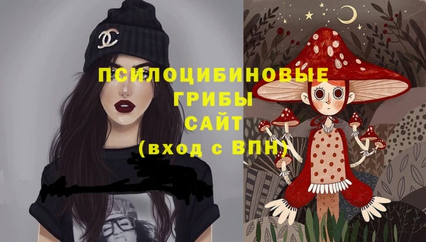 прущие грибы Зеленокумск