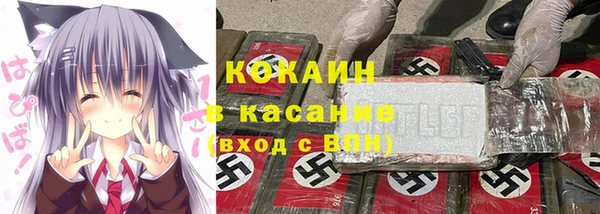 прущие грибы Зеленокумск