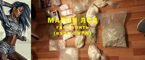 прущие грибы Зеленокумск