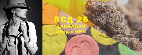 прущие грибы Зеленокумск