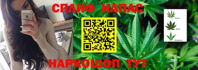 дмт Гусь-Хрустальный