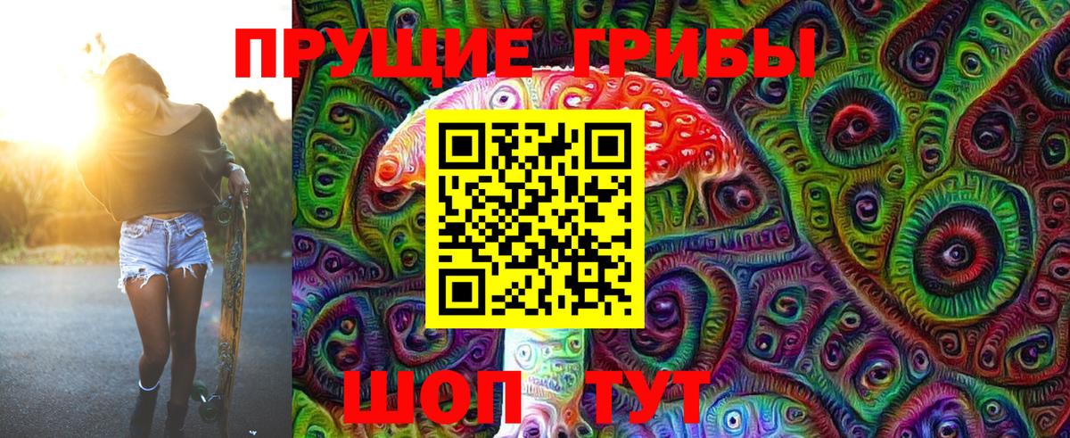 Саяногорск  Галлюциногенные грибы Psilocybe  Вход с VPN 