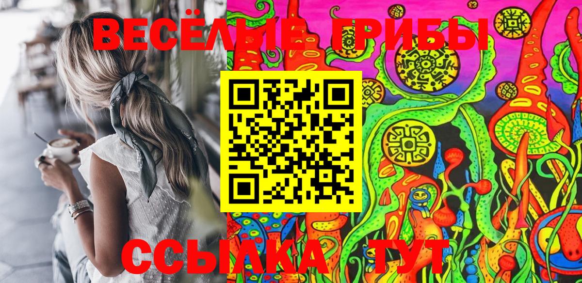 Псилоцибиновые грибы ЛСД Саяногорск